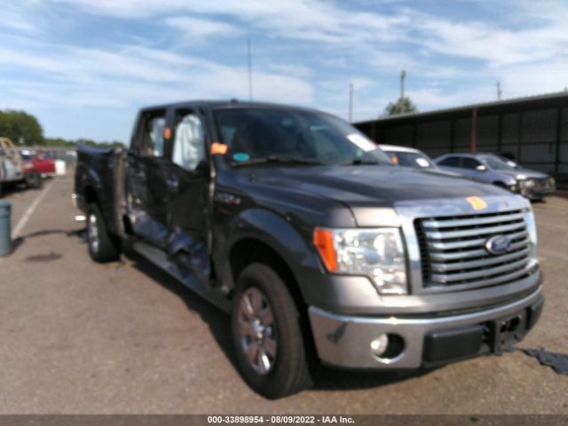 FORD F-150 2010 1ftew1c87afc05471