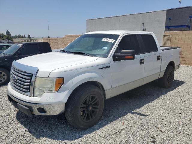 FORD F150 SUPER 2010 1ftew1c87afd73899