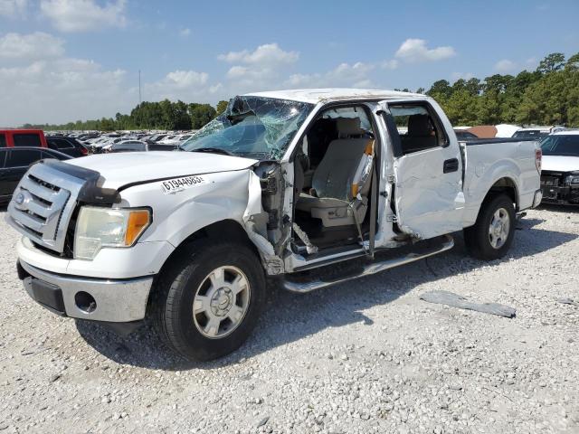 FORD F150 SUPER 2010 1ftew1c87afd86829