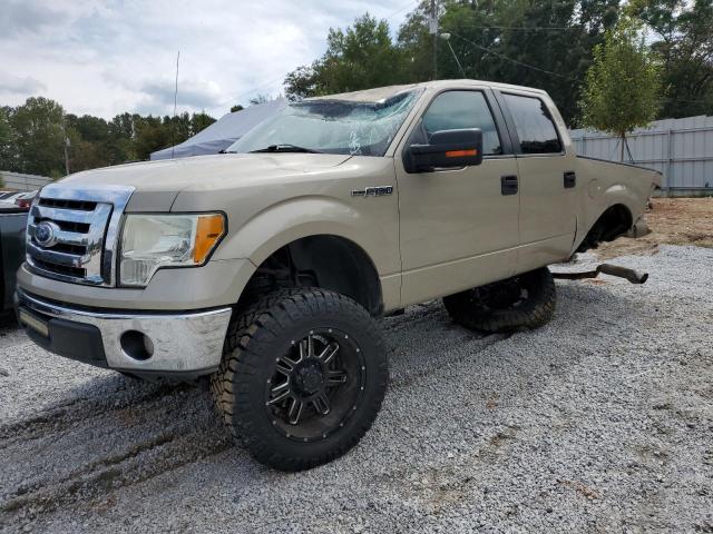 FORD F-150 2010 1ftew1c87ake36815