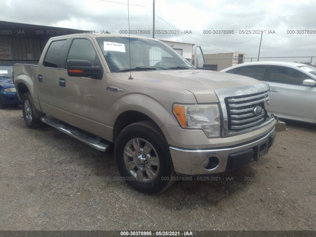 FORD F-150 2010 1ftew1c87ake42470