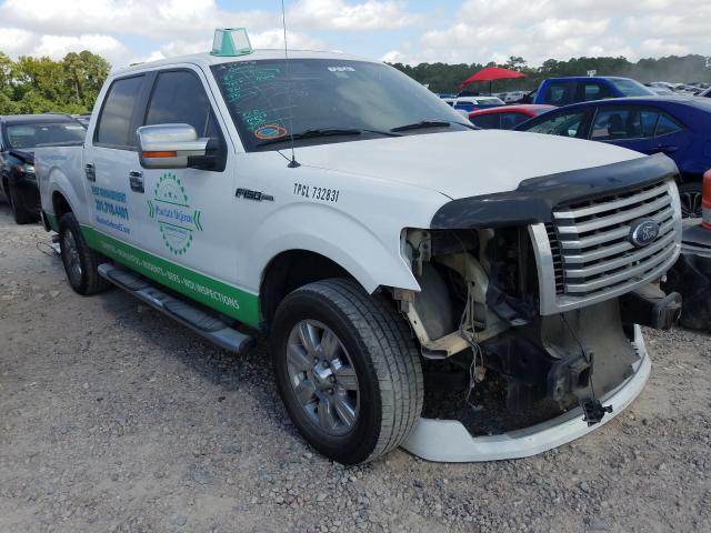 FORD F150 SUPER 2010 1ftew1c88afa03691