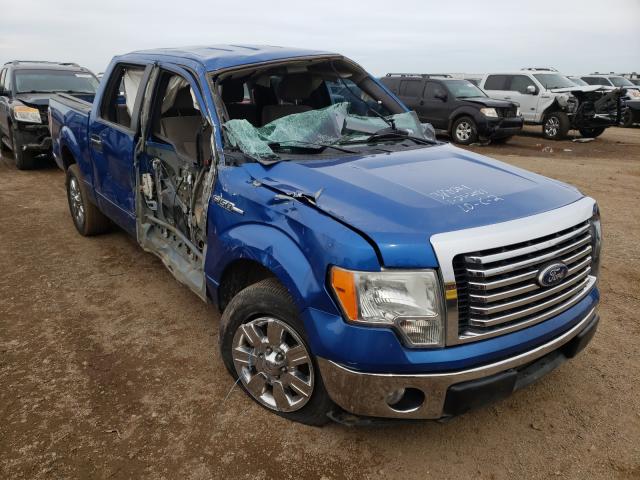 FORD F150 SUPER 2010 1ftew1c88afa09121