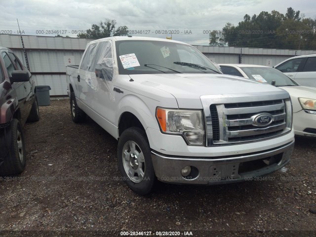 FORD F-150 2010 1ftew1c88afa81890