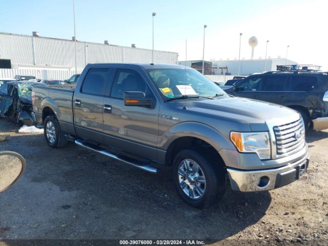 FORD F-150 2010 1ftew1c88afa96745