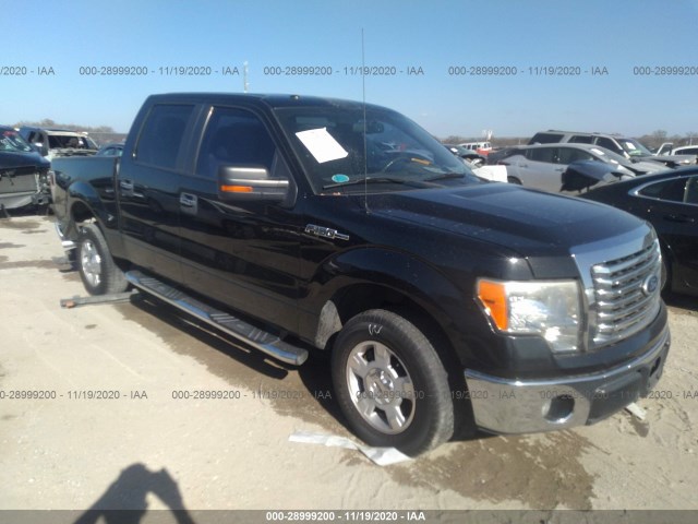 FORD F-150 2010 1ftew1c88afa96874