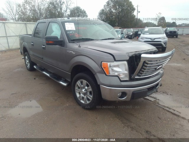 FORD F-150 2010 1ftew1c88afb03340