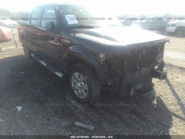 FORD F-150 2010 1ftew1c88afb05251