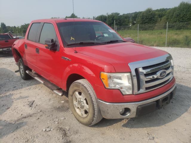 FORD F150 SUPER 2010 1ftew1c88afb05749