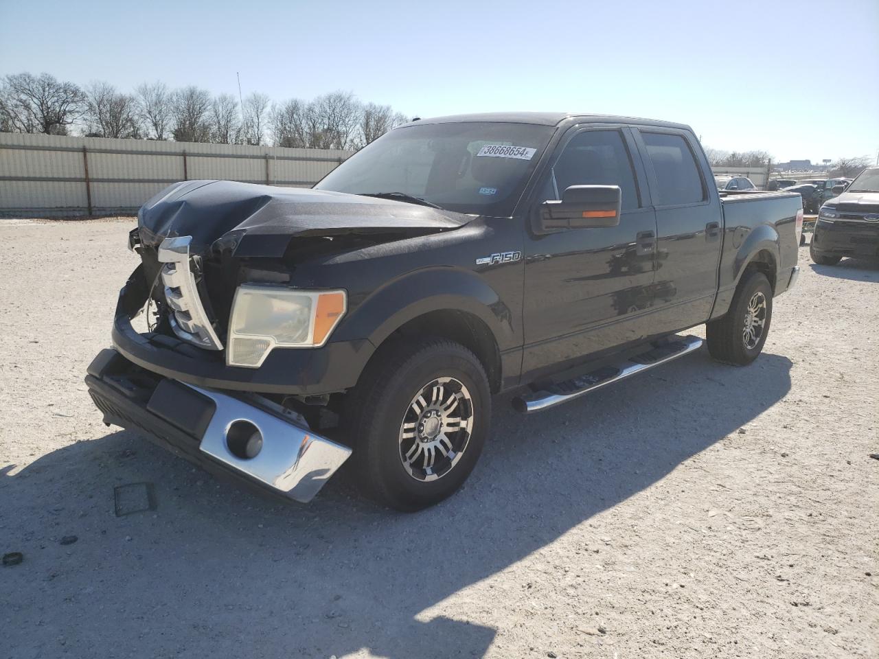 FORD F-150 2010 1ftew1c88afb07484