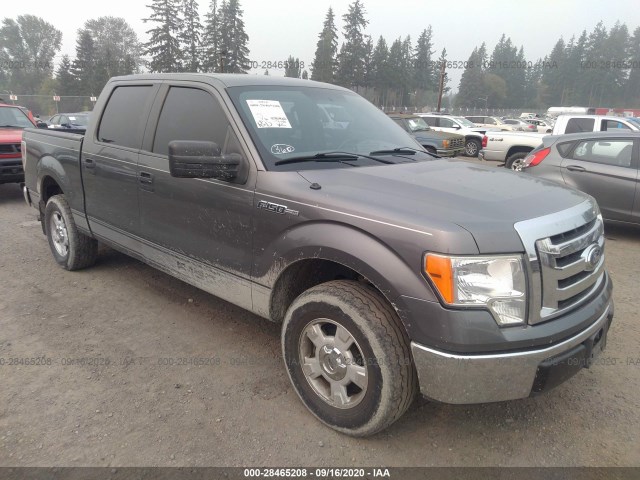 FORD F-150 2010 1ftew1c88afb27122