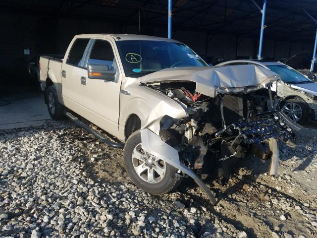 FORD F150 SUPER 2010 1ftew1c88afb44390