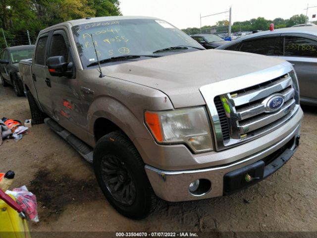 FORD F-150 2010 1ftew1c88afb49055