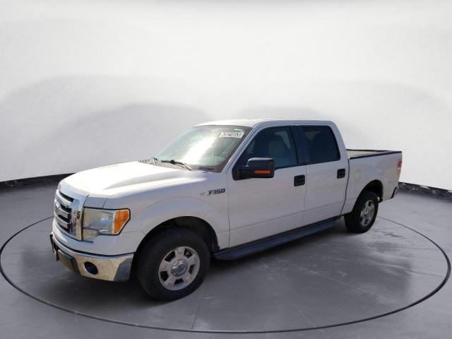 FORD F-150 2010 1ftew1c88afb49766