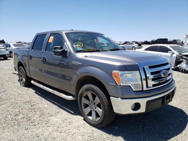 FORD F150 SUPER 2010 1ftew1c88afb55051