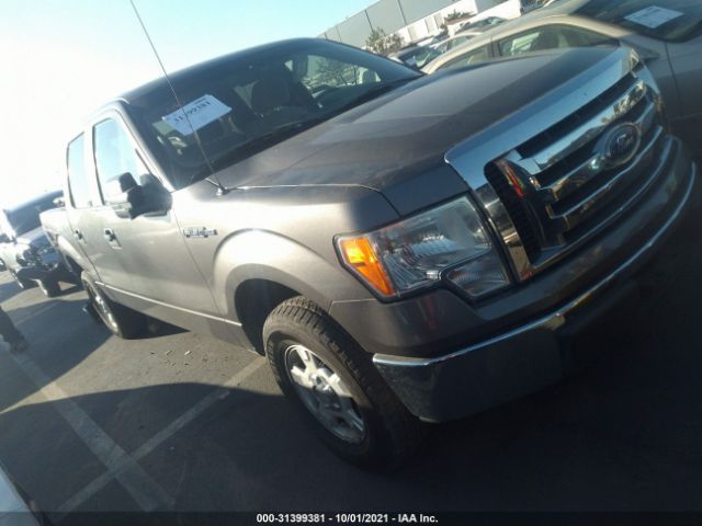 FORD F-150 2010 1ftew1c88afb98658