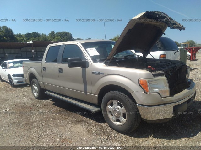 FORD F-150 2010 1ftew1c88afc27690