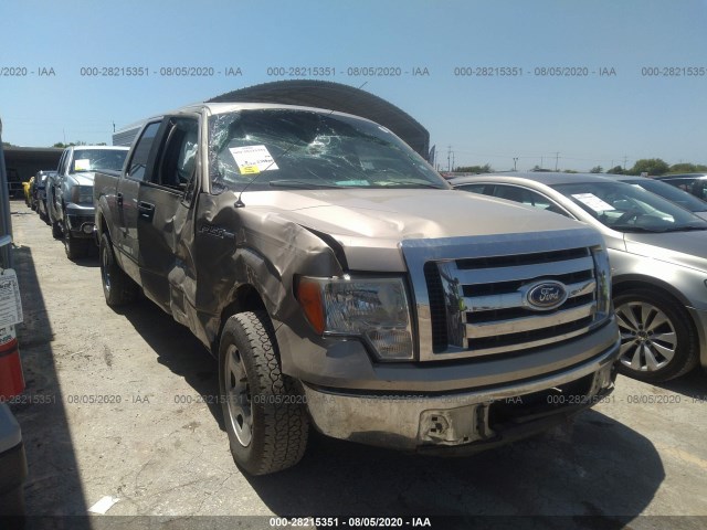 FORD F-150 2010 1ftew1c88afc29911