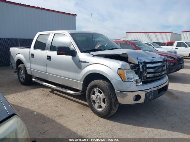 FORD F-150 2010 1ftew1c88afc85489