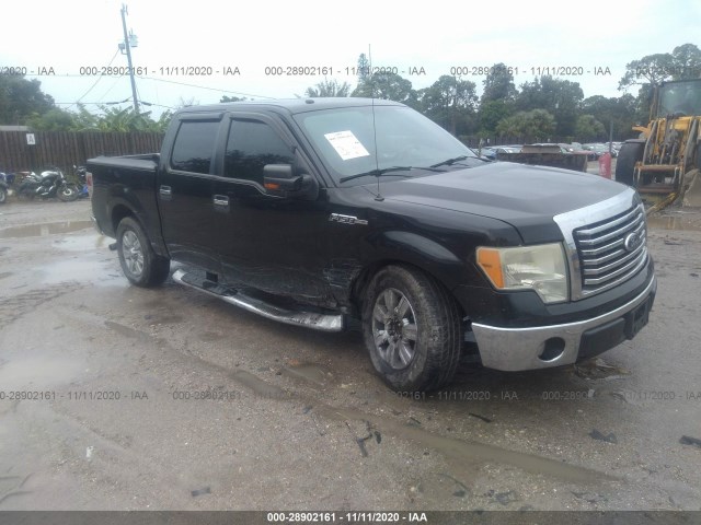 FORD F-150 2010 1ftew1c88afc90465