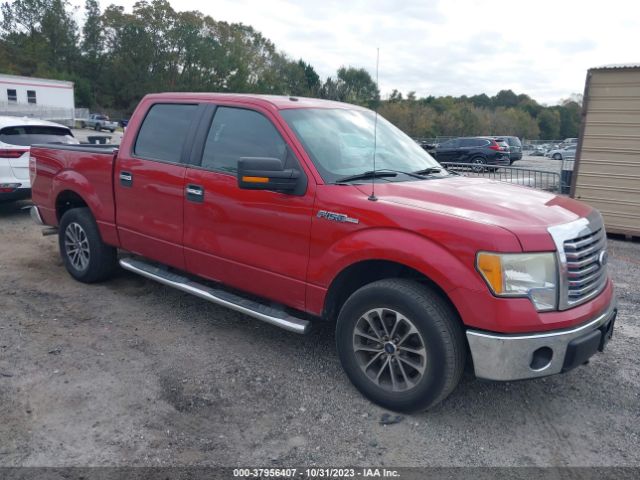 FORD F-150 2010 1ftew1c88afc96461