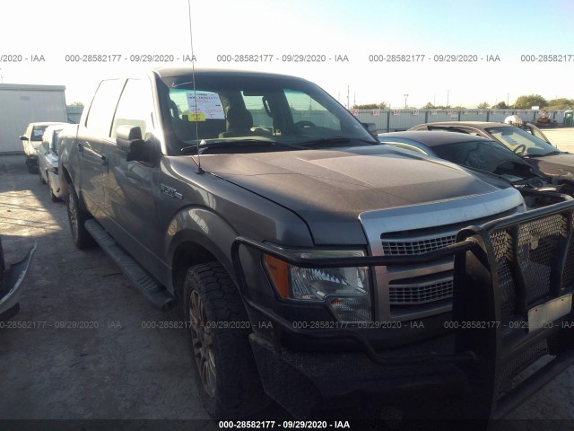 FORD F-150 2010 1ftew1c88afd42841