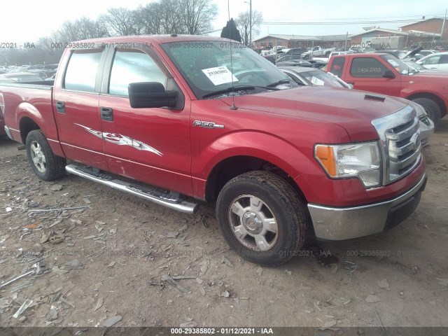 FORD F-150 2010 1ftew1c88afd50874