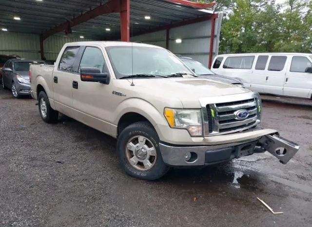 FORD F-150 2010 1ftew1c88afd51815