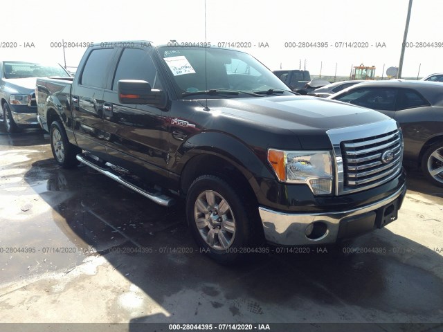 FORD F-150 2010 1ftew1c88afd54861