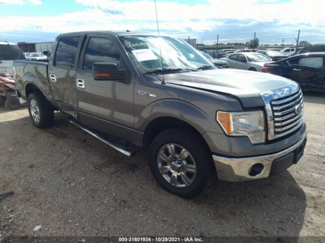 FORD F-150 2010 1ftew1c88afd61180