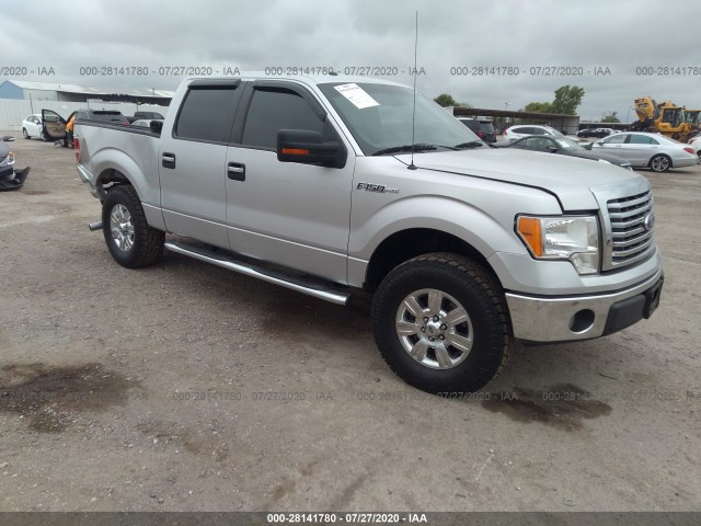 FORD F-150 2010 1ftew1c88afd86581