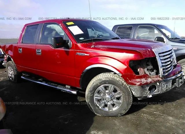 FORD F-150 2010 1ftew1c88ake37181