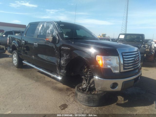 FORD F-150 2010 1ftew1c88ake73775