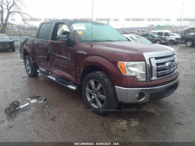 FORD F-150 2010 1ftew1c89afa55198