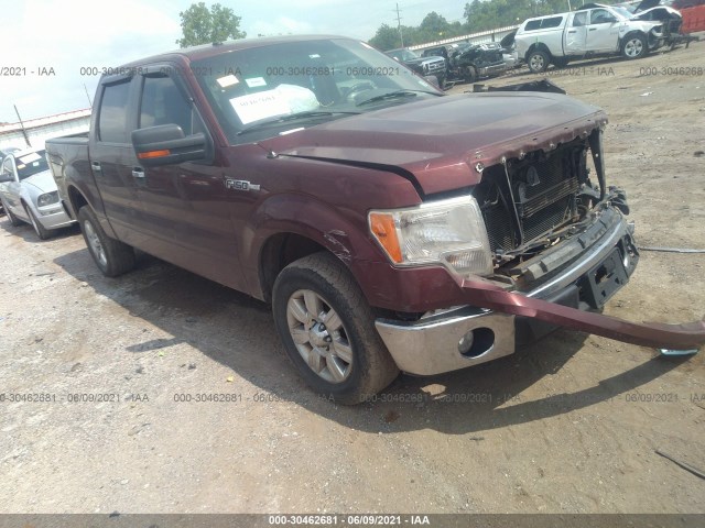 FORD F-150 2010 1ftew1c89afa71305