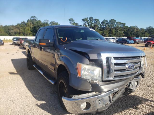 FORD F150 SUPER 2010 1ftew1c89afa81655