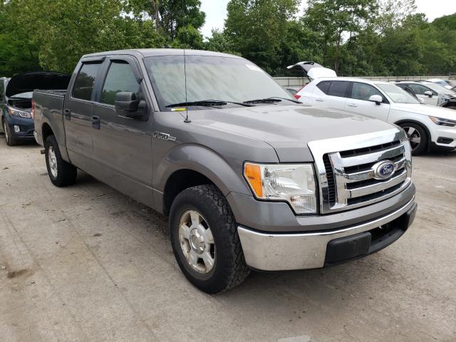 FORD F150 SUPER 2010 1ftew1c89afa90341