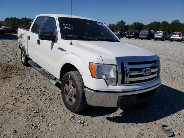 FORD F150 SUPER 2010 1ftew1c89afb02276