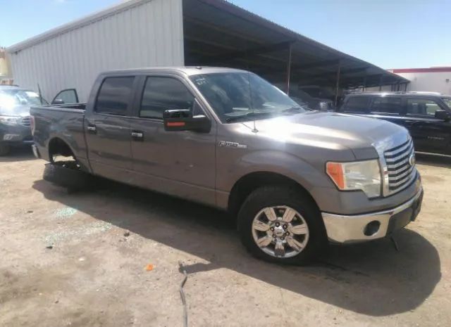 FORD F-150 2010 1ftew1c89afb08207