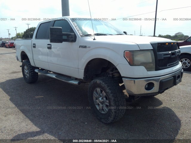 FORD F-150 2010 1ftew1c89afb35648