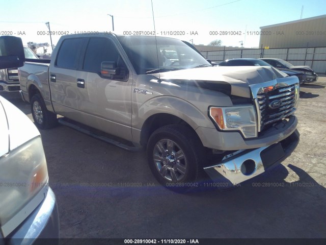 FORD F-150 2010 1ftew1c89afb46455