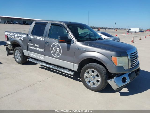 FORD F-150 2010 1ftew1c89afb68553