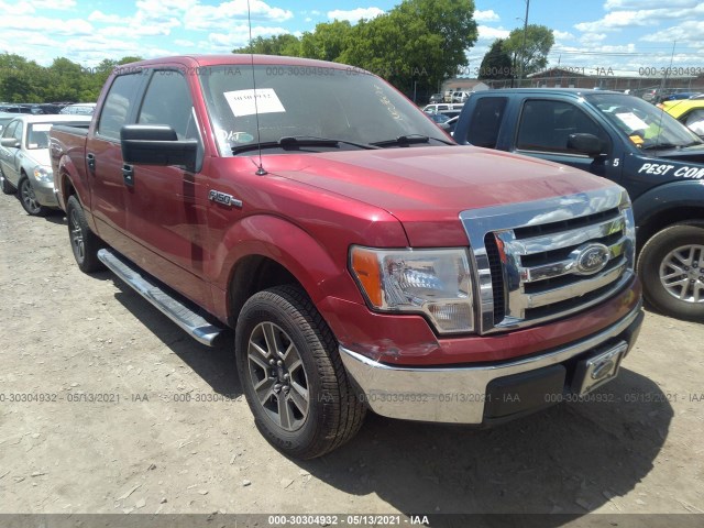 FORD F-150 2010 1ftew1c89afb77012