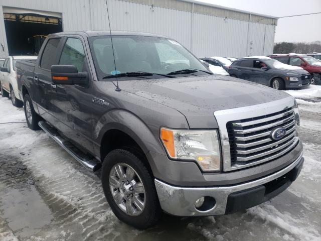 FORD F150 SUPER 2010 1ftew1c89afb91623