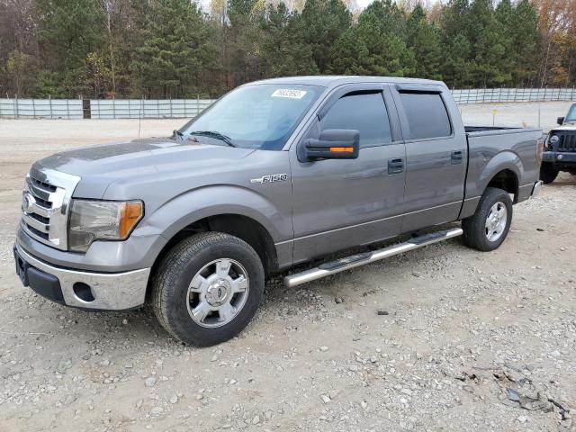 FORD F-150 2010 1ftew1c89afb98331