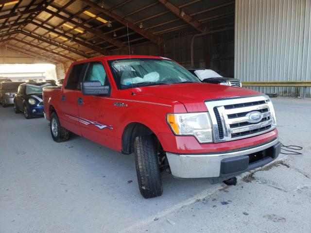 FORD F150 SUPER 2010 1ftew1c89afb98667