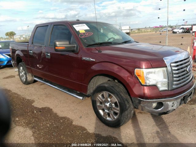 FORD F-150 2010 1ftew1c89afc06380