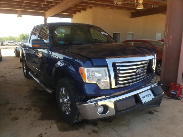 FORD F150 SUPER 2010 1ftew1c89afc14480