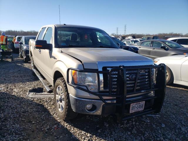 FORD F150 SUPER 2010 1ftew1c89afc23003