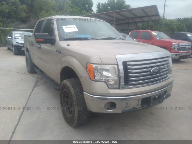 FORD F-150 2010 1ftew1c89afc61802